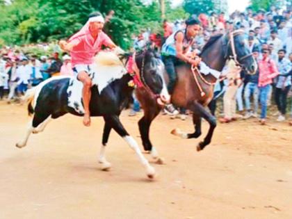 80 horses will run in the race in Satpura; Dussehra of Kathi institutions in excitement | सातपुड्यातील शर्यतीत धावणार 80 अश्व; काठी संस्थानिकांचा दसरा उत्साहात