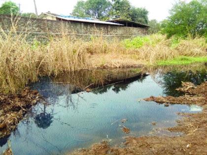 Ulhas River is known for its chemical water, Jeans plant is available in Karjat | उल्हास नदीला रासायनिक पाण्याचा विळखा, जीन्स कारखान्यांचे लोण कर्जतमध्ये