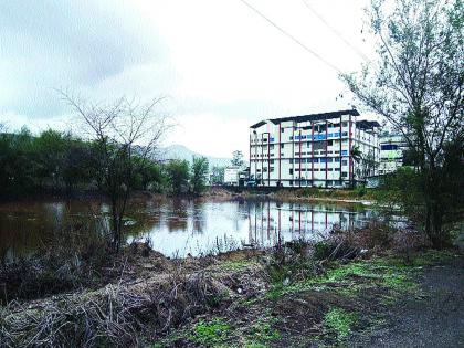 Mahad MIDC factory's chemical water drains! | महाड एमआयडीसीत कारखान्याचे रसायनयुक्त पाणी नाल्यात!