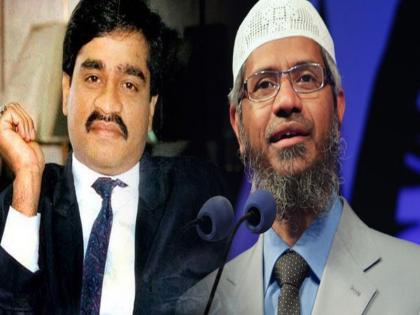 'Dawood Ibrahim gives Zakir Naik money, help from businessmen in Mumbai'; Iqbal Kaskar disclosure | 'दाऊद इब्राहिम पुरवतो झाकीर नाईकला पैसा, मुंबईतले उद्योगपतीही करतात मदत'