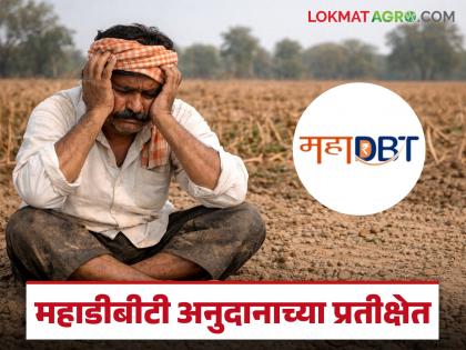 latest News Agriculture Scheme Why were the subsidies for MahaDBT schemes delayed | Agriculture Scheme : महाडीबीटीच्या योजनांचे अनुदान कशामुळे रखडले, किती शेतकऱ्यांचे अनुदान बाकी? latest News Agriculture Scheme Why were the subsidies for MahaDBT schemes delayed | Agriculture Scheme : महाडीबीटीच्या योजनांचे अनुदान कशामुळे रखडले, किती शेतकऱ्यांचे अनुदान बाकी?