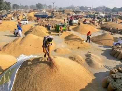 Registration of more than 18 thousand farmers at paddy procurement center | धान खरेदी केंद्रावर १८ हजाराहून अधिक शेतकऱ्यांची नोंदणी