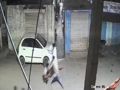 In Yavatmal, A young man was killed over an old dispute; 5-6 people stabbed him to death | धक्कादायक! जुन्या वादातून युवकाला संपवलं; ५-६ जणांनी चाकू भोसकून केली हत्या In Yavatmal, A young man was killed over an old dispute; 5-6 people stabbed him to death | धक्कादायक! जुन्या वादातून युवकाला संपवलं; ५-६ जणांनी चाकू भोसकून केली हत्या