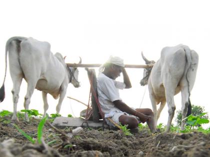 The noose of farmer suicides is tight; 202 people ended their lives in one and a half years | शेतकरी आत्महत्यांचा फास घट्ट; दीड वर्षात २०२ जणांनी संपविले जीवन