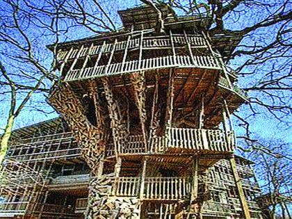 Four-story tree house in the US is on fire due to fire | अमेरिकेतील चार मजली वृक्षगृह आगीमुळे चर्चेत