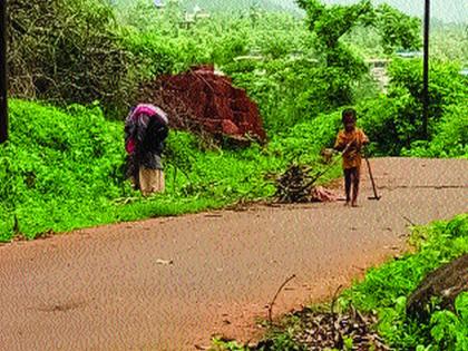 Tribal economic crisis; Despite the yield, the mango, cashew crop did not get the rate | आदिवासी आर्थिक संकटात; उत्पन्न असतानाही आंबा, काजू पिकाला मिळाला नाही दर