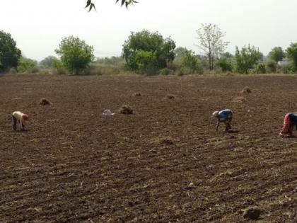 So far only 35% crop loan has been disbursed in Gondia district | गोंदिया जिल्ह्यात आतापर्यंत केवळ ३५ टक्के पीककर्जाचे वाटप