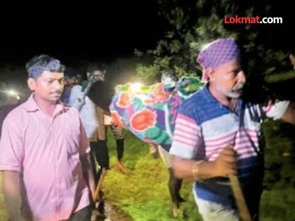 Unfortunate incidence The dead body was carried in a doli for five kilometers; Due to the lack of roads, the people of Chimbhave are frustrated | दुर्दैवी! पाच किलोमीटरपर्यंत मृतदेह नेला डोलीतून; रस्त्याअभावी चिंभावेवासीयांची फरफट