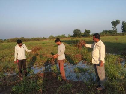  Though the deadline given by the Chief Secretary has expired, Panchanam has been slow in Jalgaon district | मुख्य सचिवांनी दिलेली मुदत संपली तरीही जळगाव जिल्ह्यात पंचनामे धीम्या गतीने