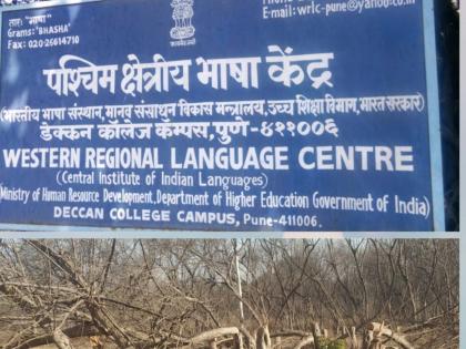 social worker claimed that slaughter of 32 trees for the Metro's casting yard | मेट्रोच्या कास्टिंग यार्डसाठी ३२ वृक्षांची विनापरवाना कत्तल केल्याचा आरोप