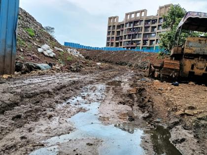 Badlapur Civic issue lots of dead pigs found in drainage | बदलापूरच्या नाल्यामध्ये मेलेल्या डुकरांचा खच