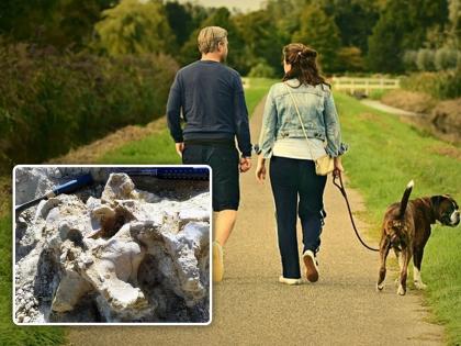 Man walking his dog discovered 7 crore years old dinosaur skeleton fossil fuels | कुत्र्याला फिरवायला निघाला होता, रस्त्यात सापडली कोट्यावधी वर्ष जुनी वस्तू आणि मग...