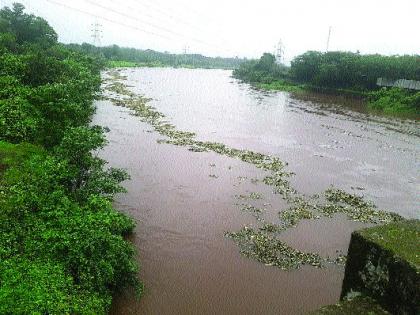 Swimming in the stele river; | चोळई नदीत पोहण्याची शर्यत; नदीत अडकलेले तरुण बचावले