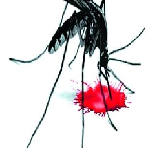 Kolhapur: Dengue stresses of 34 patients in four days, the effect of mosquitoes still persists | कोल्हापूर : चार दिवसांत डेंग्यूच्या ३४ रुग्णांची भर, डासांचा प्रभाव आजही कायम