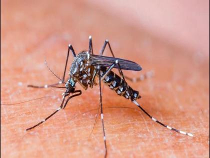 Unseasonal rain increases risk of dengue; Caused by 'House Index' and 'Container Index' | अवकाळी पाऊस वाढवतोय डेंग्यूचा धोका;  ‘हाउस इंडेक्स’ व ‘कंटनेर इंडेक्स’ कारणीभूत