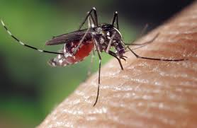 Dengue like Sickness; The effect of typhoid fever, malaria, diarrhea | इंझोरीत डेंग्युसदृश आजाराची साथ; विषमज्वर, हिवताप, अतिसाराचाही प्रादूर्भाव 