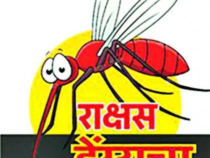 Number of Dengue Patients above 779, Seven death registered | डेंग्यू रुग्णांची संख्या ७७९ वर, सात जणांच्या मृत्यूची नोंद