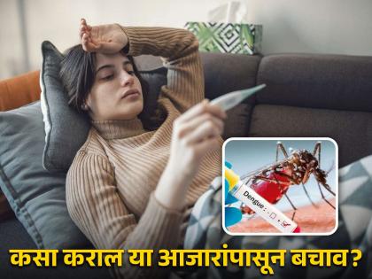 People should take precautions to avoid malaria and dengue in rainy season | पावसाळ्यात डेंग्यू-मलेरियाचा वाढतो धोका, 'या' घरगुती उपायांनी करू शकता बचाव!