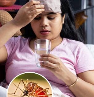 डेंग्यू झालाय? प्लेटलेट्स आणि रोगप्रतिकारशक्ती वाढण्यासाठी नक्की खा ५ गोष्टी, लवकर व्हा बरे
