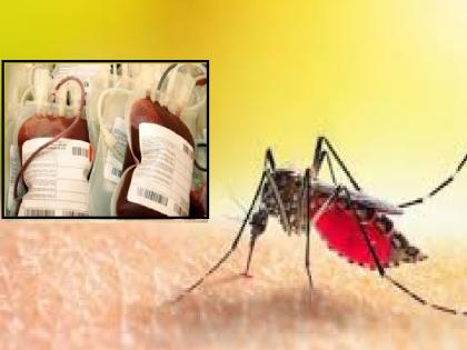 डेंग्यूच्या डासांनी शोषला कोल्हापूर जिल्ह्याचा रक्तसाठा; रुग्णांची हेळसांड
