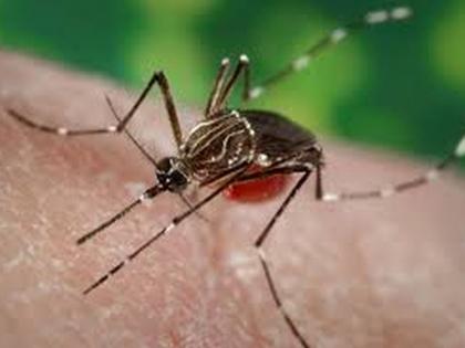 Dengue outbreak after Coron; Dengue-like illness spreads in Karla village | कोरोनानंतर डेंग्यूचा कहर; कार्ला येथे १८ जणांना डेंग्यूसदृश आजाराची लागण