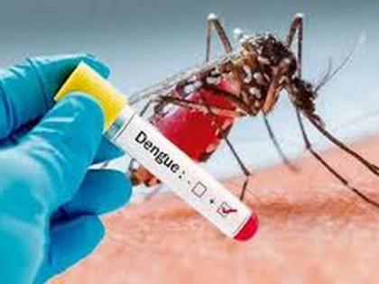 Dengue spreading in Buldana district; System Alert! | बुलडाणा जिल्ह्यात डेंग्यू पसारताेय पाय; यंत्रणा अलर्ट!