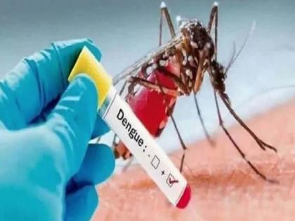 India has developed a dengue vaccine | भारताने तयार केली डेंग्यूची लस