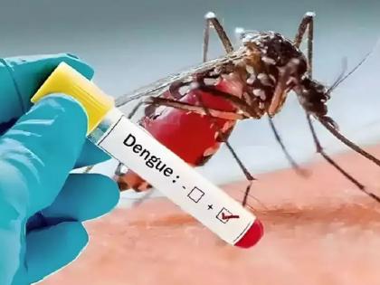 Dengue free India soon! Success in making indigenous vaccine, test will be done on 10 thousand people | लवकरच डेंग्यूमुक्त भारत! स्वदेशी लस बनविण्यात यश, १० हजार लोकांवर चाचणी होणार