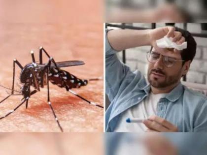 in mumbai at increased risk of dengue and malaria cases citizens urged to take care | मुंबईला डेंग्यू, मलेरियाचा वाढता धोका; नागरिकांना काळजी घेण्याचे आवाहन