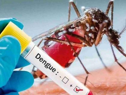 12 victims of dengue in Mumbai in the last nine months bmc appeals to citizens to take care | Mumbai Dengue Cases: गेल्या नऊ महिन्यांत मुंबईत डेंग्यूचे १२ बळी, नागरिकांना काळजी घेण्याचे पालिकेचे आवाहन!