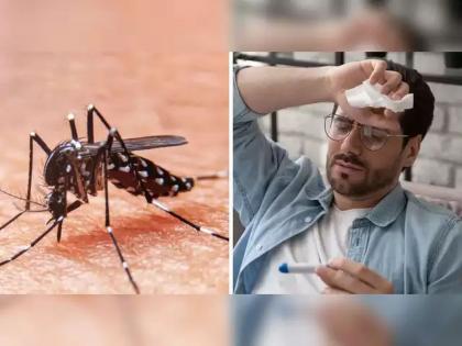 What precautions should be taken to prevent the spread of malaria and dengue? Notice to Municipal Corporation of Health Department | मलेरिया, डेंग्यूचा प्रसार होऊ नये यासाठी काय काळजी घ्याल? आरोग्य विभागाच्या महापालिकेला सूचना