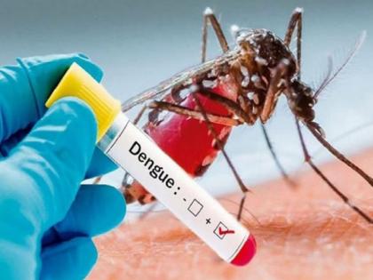 Dengue Treatment: There is no vaccine available for dengue; So how is treatment done? see | डेंग्यूवर कोणतीही लस उपलब्ध नाही; मग उपचार कसा केला जातो? पाहा...