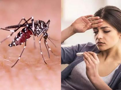 Dengue virus stronger than first; Scientists say, we need a vaccine without delay | डेंग्यूचा विषाणू पहिल्यापेक्षा अधिक शक्तिशाली; शास्त्रज्ञ म्हणतात, विनाविलंब लस हवी