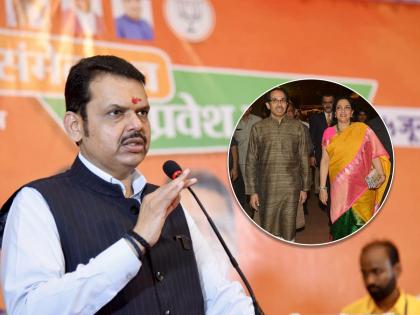 dcm devendra fadnavis reaction over rashmi uddhav thackeray alibaug bungalow case | १९ बंगल्यांबाबत रश्मी ठाकरेंची चौकशी होऊ शकते का? देवेंद्र फडणवीसांनी स्पष्टच सांगितले!