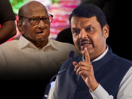 Sharad Pawar realized that not possible to run the party says Devendra Fadnavis | "पक्ष चालवणं शक्य नाही म्हणून शरद पवार लोकसभेनंतर..."; फडणवीसांचा मोठा दावा