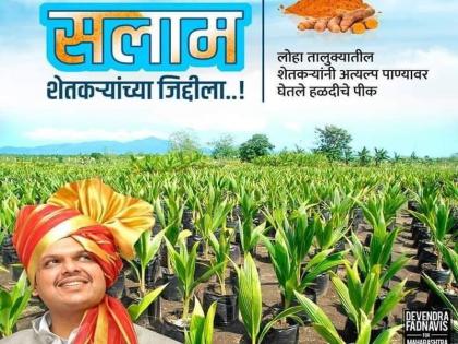 The photo of 'turmeric' viral on social media, bjp IT cell troll about photo of fadanvis | 'हळद' रुसली भाजपा फसली, हळदीचं उत्पन्न दाखवताना फोटो चक्क नारळाचा 