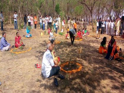 Rare forestry Shrub : 'Birth-day' of trees in Nashik | जंगली झुडुपांची पडणार भर : ‘वनराई’त नाशिककर साजरा करणार वृक्षांचा ‘बर्थ-डे’