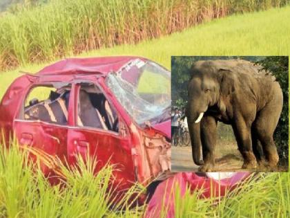 An elephant smashed a car at Deulwadi in Ajara taluka kolhapur district | Kolhapur- चवताळलेल्या हत्तीने कार फोडली, ३०० फूट फरफटत शेतात फेकली; नागरिकांत भीतीचे वातावरण