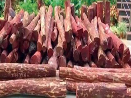 sandalwood worth twenty lakhs seized near Solapur! | अबब! तब्बल वीस लाखांचे चंदन सोलापूरजवळ जप्त!