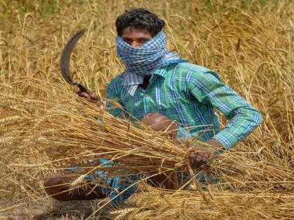 Farmer Protest: third installment of PM-Kisan sanman nidhi stalled, know why? | Farmer Protest: शेतकरी आंदोलनाचा परिणाम; पीएम-किसानचा तिसरा हप्ता रखडला