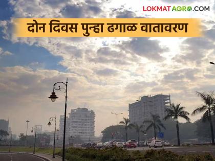 Latest News light Rain in same parts of the maharashtra on Republic Day, read weather forecast | Republic Day Weather : प्रजासत्ताक दिनी राज्यातील 'या' भागात पावसाची शक्यता, वाचा हवामान अंदाज Latest News light Rain in same parts of the maharashtra on Republic Day, read weather forecast | Republic Day Weather : प्रजासत्ताक दिनी राज्यातील 'या' भागात पावसाची शक्यता, वाचा हवामान अंदाज