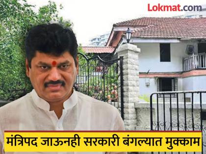 Why did Dhananjay Munde not vacate the government bungalow even after becoming a minister? He will have to pay a fine | मंत्रिपद जाऊनही धनंजय मुंडेंनी सरकारी बंगला का सोडला नाही? भरावा लागणार दंड Why did Dhananjay Munde not vacate the government bungalow even after becoming a minister? He will have to pay a fine | मंत्रिपद जाऊनही धनंजय मुंडेंनी सरकारी बंगला का सोडला नाही? भरावा लागणार दंड