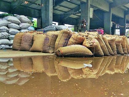 The rain soaked millions of grains in Kalamanya; Losses of farmers | पावसामुळे कळमन्यात लाखोंचे धान्य भिजले; शेतकऱ्यांचे नुकसान