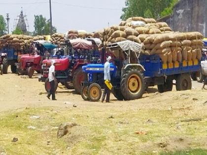 4 lakh 49 thousand quintals of paddy purchase in just one hour in gondia district, Suspicion of paddy procurement scam | अवघ्या तासभरात ४ लाख ४९ हजार क्विंटल धान खरेदी; शेतकऱ्यांना ठेंगा, व्यापाऱ्यांची मात्र चांदी