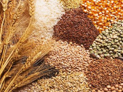 5 percent GST on unbranded grains now; Implementation from 18th July | आता नॉन ब्रॅण्डेड धान्यावर जीएसटी; १८ जुलैपासून अंमलबजावणी