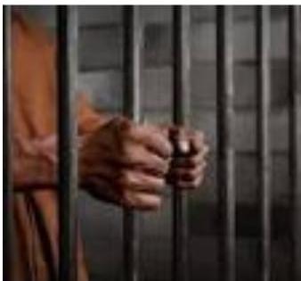 Land mafia Dhapodkar sent to jail in Nagpur | नागपुरातील भूमाफिया धापोडकरची कारागृहात रवानगी