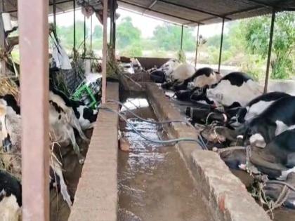 Dharashiv: Loss of 25 lakhs, aid of only 2.5 lakhs; Government mocked us | Dharashiv: २५ लाखांचे नुकसान, मदत फक्त सव्वादोन लाखांची; सरकारने आमची थट्टा केली!