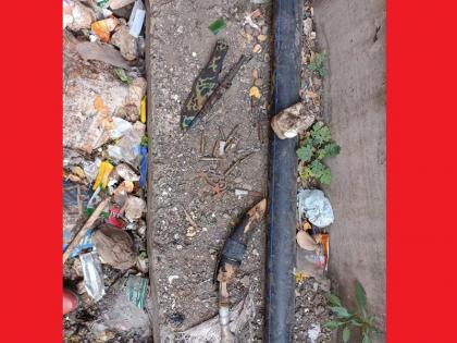 Cartridges, weapons found while cleaning drains in Warje pune crime news | Pune : वारजेत नालेसफाई करताना सापडली काडतुसे, हत्यारे