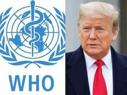 CoronaVirus: Michael Ryan says,executive director of the WHO health emergency program. The corona is naturally occurring mac | CoronaVirus News: डोनाल्ड ट्रम्प यांचा दावा चुकला?; जागतिक आरोग्य संघटनेनं सांगितलं कोरोनाचं खरं उगमस्थान