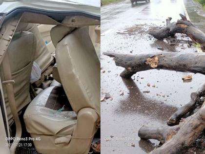 big accident in Nashik; Three teachers killed ater tree falls on car | Nashik Accident: नाशिकमध्ये भीषण अपघात; सुकलेले झाड कारवर कोसळून तीन शिक्षकांचा मृत्यू